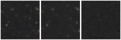 Missing file SDSSJ095031.29+002427.0-custom-montage-W1W2.png