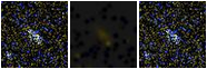 Missing file SDSSJ095043.15+095703.8-custom-montage-FUVNUV.png