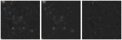 Missing file SDSSJ095125.19+090305.8-custom-montage-W1W2.png