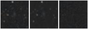 Missing file PGC087189-custom-montage-W1W2.png
