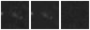 Missing file PGC1200167-custom-montage-W1W2.png