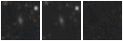 Missing file PGC1268744-custom-montage-W1W2.png