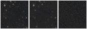 Missing file PGC135730-custom-montage-W1W2.png
