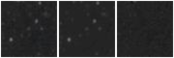 Missing file PGC3279902-custom-montage-W1W2.png