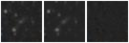Missing file SDSSJ095227.68+005845.5-custom-montage-W1W2.png