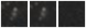 Missing file SDSSJ095407.30+092135.5-custom-montage-W1W2.png