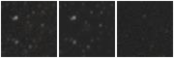 Missing file AGC198437-custom-montage-W1W2.png