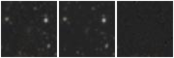 Missing file AGC198712-custom-montage-W1W2.png