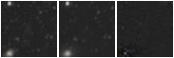 Missing file AGC749303-custom-montage-W1W2.png
