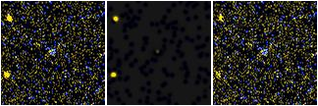 Missing file AGC749304-custom-montage-FUVNUV.png