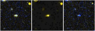 Missing file MGC97052-custom-montage-FUVNUV.png