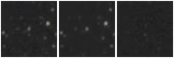 Missing file PGC3279575-custom-montage-W1W2.png
