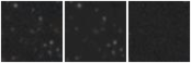 Missing file SDSSJ095729.39+274524.3-custom-montage-W1W2.png