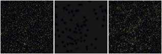 Missing file SDSSJ095844.92+324312.9-custom-montage-FUVNUV.png