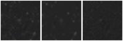 Missing file AGC205104-custom-montage-W1W2.png