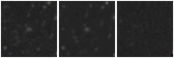 Missing file AGC205105-custom-montage-W1W2.png