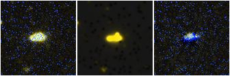 Missing file PGC028916-custom-montage-FUVNUV.png