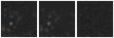 Missing file PGC090975-custom-montage-W1W2.png