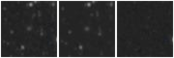 Missing file PGC2249769-custom-montage-W1W2.png