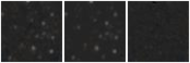 Missing file AGC208434-custom-montage-W1W2.png