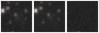 Missing file PGC1201224-custom-montage-W1W2.png