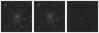 Missing file PGC1276691-custom-montage-W1W2.png