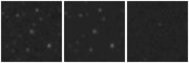Missing file PGC1418410-custom-montage-W1W2.png