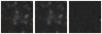 Missing file PGC2806981-custom-montage-W1W2.png