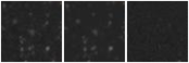 Missing file SDSSJ100724.05+051931.0-custom-montage-W1W2.png