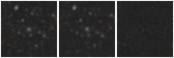 Missing file PGC139255-custom-montage-W1W2.png