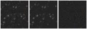 Missing file SDSSJ101020.51+074513.6-custom-montage-W1W2.png