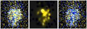 Missing file VFID2728-custom-montage-FUVNUV.png