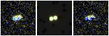 Missing file PGC029875-custom-montage-FUVNUV.png