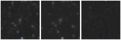 Missing file PGC2427800-custom-montage-W1W2.png