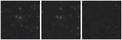 Missing file PGC2807134-custom-montage-W1W2.png