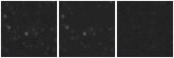 Missing file CKT2009_D1019+69-custom-montage-W1W2.png