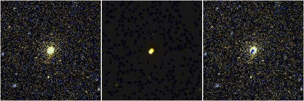 Missing file NGC3182-custom-montage-FUVNUV.png