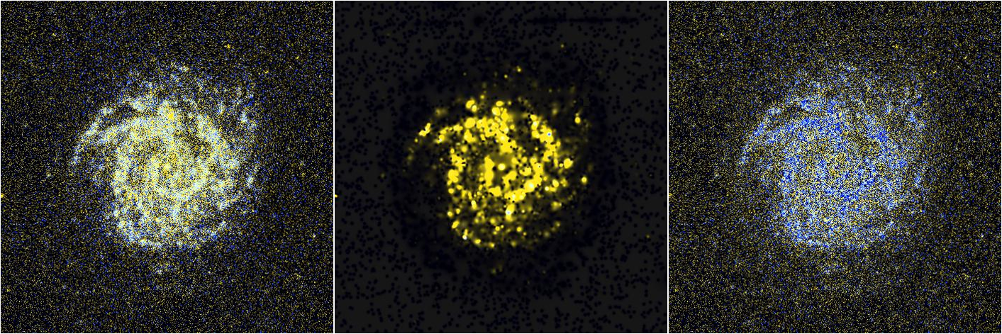 Missing file NGC3184-custom-montage-FUVNUV.png
