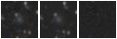 Missing file PGC086788-custom-montage-W1W2.png