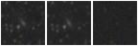 Missing file PGC1649060-custom-montage-W1W2.png