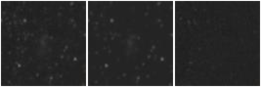 Missing file UGC05571-custom-montage-W1W2.png