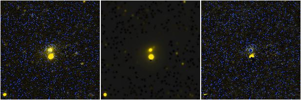 Missing file NGC3230-custom-montage-FUVNUV.png