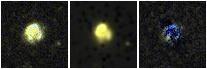 Missing file PGC030281-custom-montage-FUVNUV.png