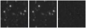 Missing file PGC2579812-custom-montage-W1W2.png