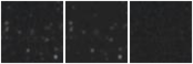 Missing file SDSSJ102301.64+434235.0-custom-montage-W1W2.png
