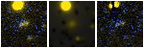 Missing file SDSSJ102339.35+123725.5-custom-montage-FUVNUV.png