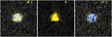 Missing file UGC05577-custom-montage-FUVNUV.png