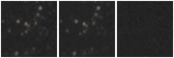 Missing file AGC205148-custom-montage-W1W2.png