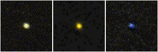 Missing file PGC1502532-custom-montage-FUVNUV.png
