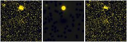 Missing file PGC1614037-custom-montage-FUVNUV.png